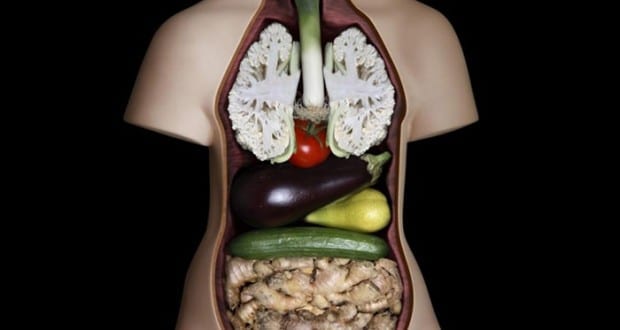 veggies-human-body-visceral-vegetables-system-66804-840x550