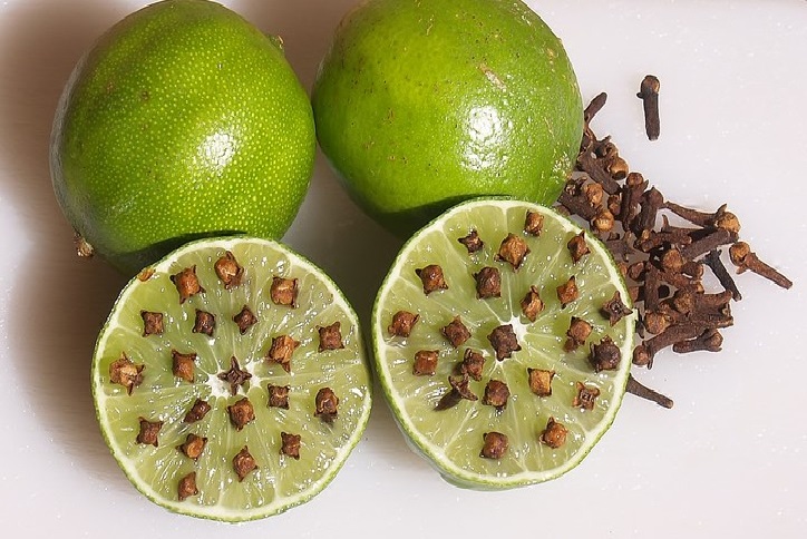 طريقة القرنفل والليمون والنعناع لطرد الناموس الذباب والحشرات المزعجة في المطبخ والمنزل