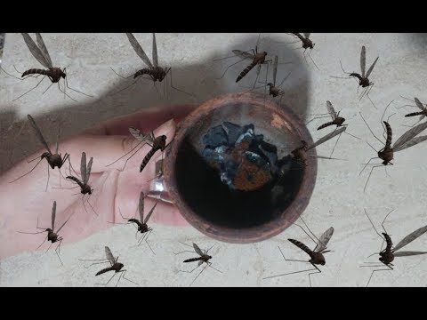 قنبلة التعطير والتطهير لطرد الناموس والنمل و اي حشرة مزعجة