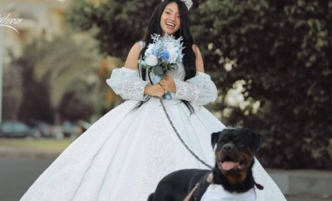 مدونة مصرية تعلن زواجها من كلب