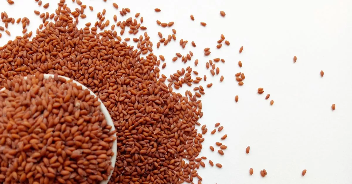 فوائد حب الرشاد للنساء