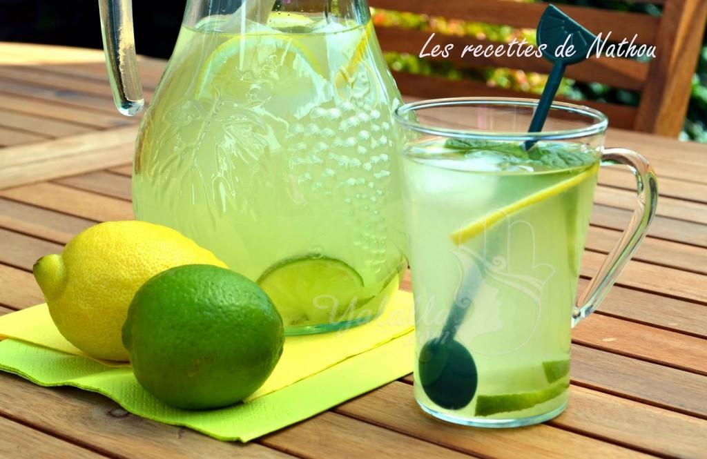 عصير الليمون الحامض و النعناع ساهل ، رائع و منعش  وصفتي الخاصة Lalla Moulati