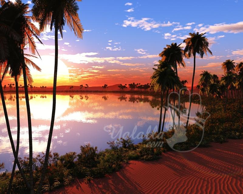 sunsets nature trees oasis palm trees 1280x1024 wallpaper_www.wallpaperto.com_10