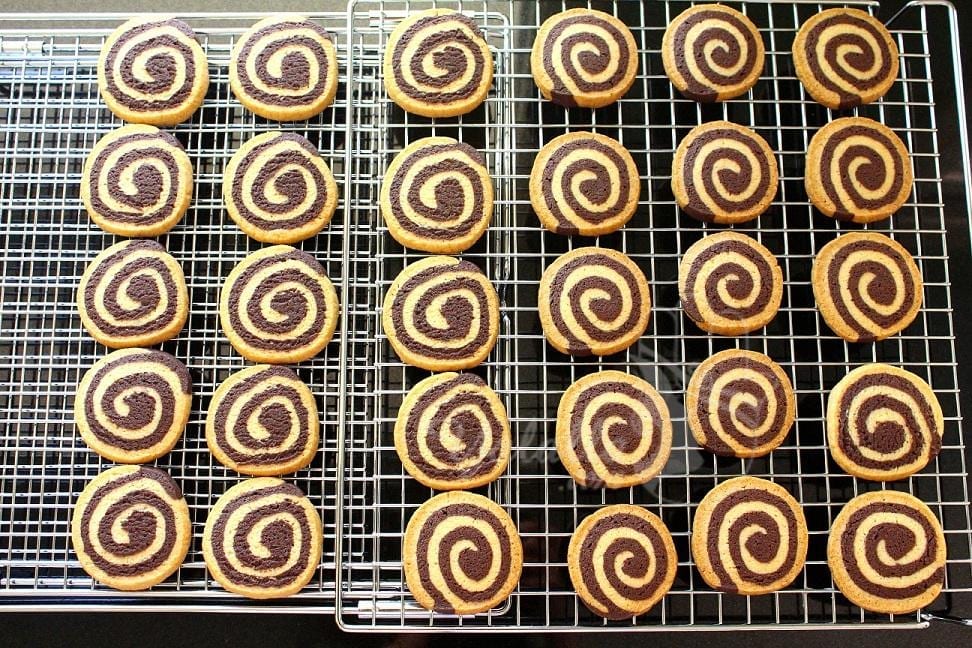 SugaryWinzy-Chocolate-Pinwheel-Cookies16