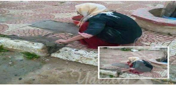 صورة سيدة تقوم بترميم حفرة في الطريق تنال اعجابا فيسبوكيا كبيرا