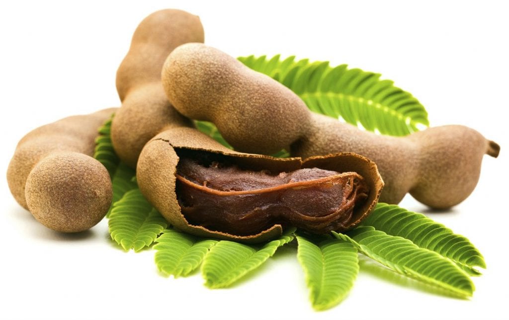 Fresh Tamarind with leaves