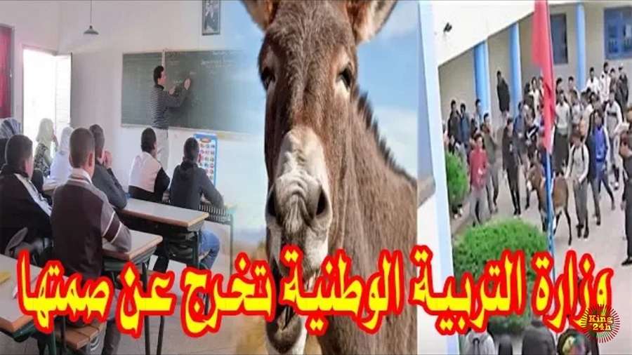 بالفيديو..حمار داخل ثانوية ببرشيد يثير استنكار المغاربة عبر مواقع التواصل الإجتماعي
