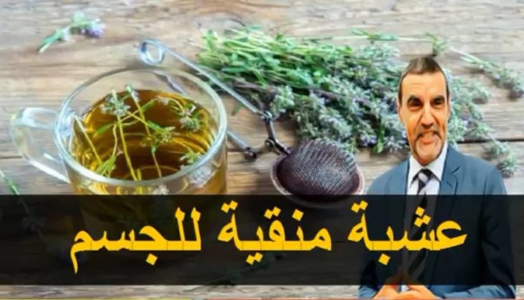 عشبة منقية للجسم أفضل من أدوية كثيرة مع الدكتور محمد الفايد