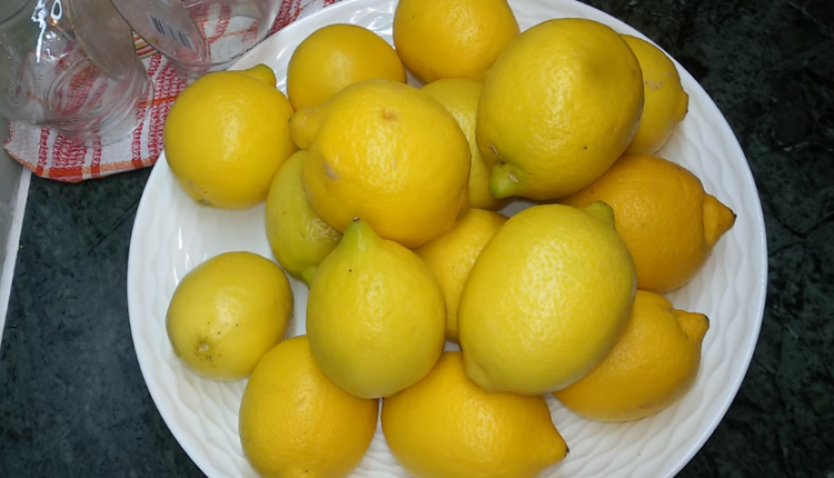 تحضير عصير الليمون الحامض بدون مرورة وتصبيره خارج الثلاجة لمدة سنة اواكثر
